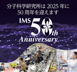 imt50th-thumb-250xauto-8197.png